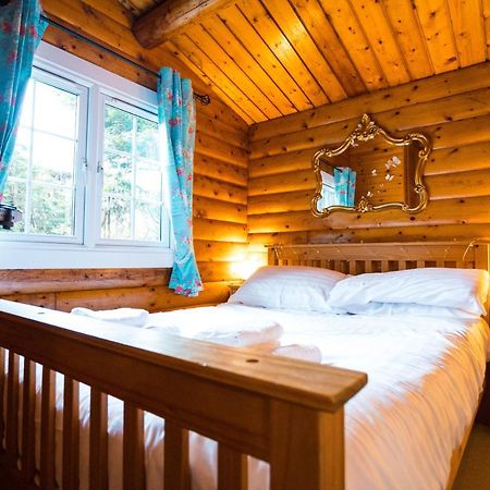 Woodpecker 3 Bedroom Trawsfyndd Holiday Village - Hosted By Seren Property Trawsfynydd Eksteriør billede